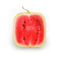 square-watermelon.jpg